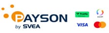 Payson Logo